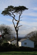 Feature_countryside9