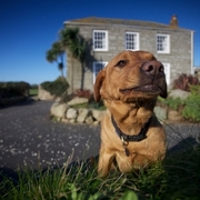 Feature_thumbs_cornwall_farm_holidays-2