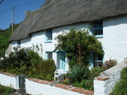 Feature_vine_cottage_exterior